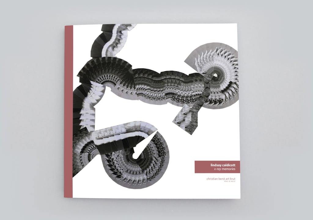 catalogue publié à l'occasion de l'exposition *lindsay caldicott : x ray memories*, christian berst art brut, paris, 2018. - © christian berst art brut, christian berst — art brut